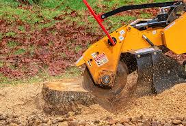 Best Leaf Removal  in Queens, NY